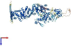 UBE3B Protein (AA 1-1070) (His tag)