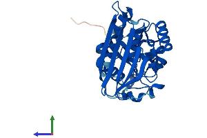 Protein Structure (PS) image for Aspartate Dehydrogenase Domain Containing (ASPDH) (AA 1-287) protein (His tag) (ABIN7561347)