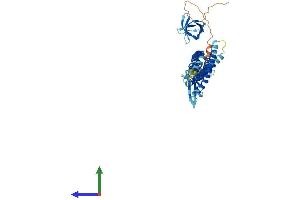 Protein Structure (PS) image for Nitric Oxide Synthase Trafficker (NOSTRIN) (AA 1-506) protein (His tag) (ABIN7549811)