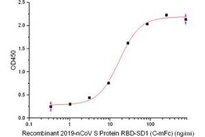 ELISA image for Angiotensin I Converting Enzyme 2 (ACE2) (Active) protein (His tag) (ABIN7321043) (ACE2 Protein (His tag))