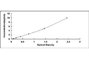 Typical standard curve (HNF1B ELISA Kit)