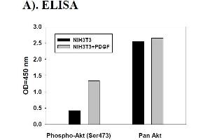 Image no. 4 for V-Akt Murine Thymoma Viral Oncogene Homolog 1 (AKT1) ELISA Kit (ABIN625233)