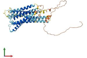 Protein Structure (PS) image for G Protein-Coupled Receptor 143 (GPR143) (AA 1-405) protein (His tag) (ABIN7556680)