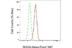Flow cytometric analysis of RHOA expression in C2C12 cells using RHOA antibody (ABIN7800142), 1:2,000). (Rekombinanter RHOA Antikörper)