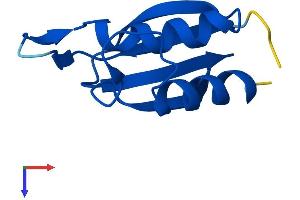 AlphaFold protein structure predicition of Human Recombinant C10orf53 Protein, UniprotID Q8N6V4