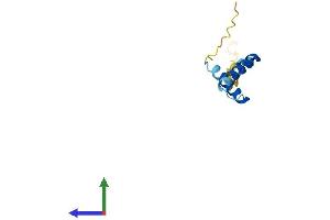 AlphaFold protein structure predicition of Human Recombinant ERVK-16 Protein, UniprotID P61578 (ERVK-16 Protein (AA 1-105) (His tag))