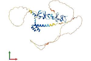 Protein Structure (PS) image for LIM Homeobox 1 (LHX1) (AA 1-406) protein (His tag) (ABIN7549042)