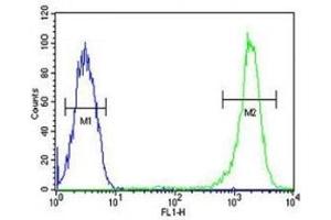 Flow Cytometry (FACS) image for anti-Caspase 3 (CASP3) (AA 149-179) antibody (ABIN3030296)