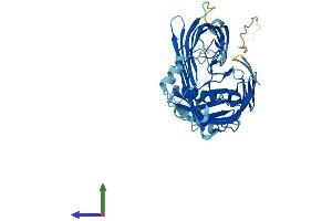 Protein Structure (PS) image for Sorting and Assembly Machinery Component 50 Homolog (SAMM50) (AA 1-469) protein (His tag) (ABIN7551687)