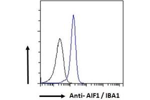 ABIN190906 Flow cytometric analysis of paraformaldehyde fixed K562 cells (blue line), permeabilized with 0. (Iba1 Antikörper  (C-Term))