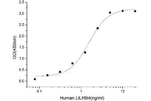 Angiopoietin-Like 7 (ANGPTL7) (AA 27-346) (Active) protein (His tag)