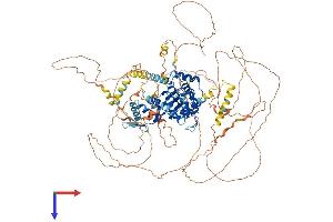 ARHGAP6 Protein (AA 1-974) (His tag)