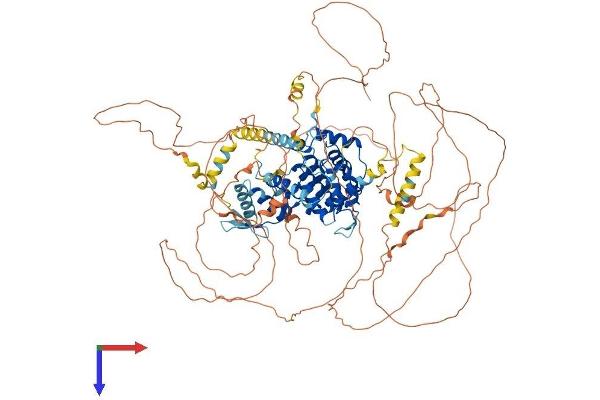 ARHGAP6 Protein (AA 1-974) (His tag)