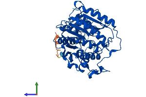 AlphaFold protein structure predicition of Mouse Recombinant Hdac8 Protein, UniprotID Q8VH37 (HDAC8 Protein (AA 1-377) (His tag))