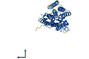 AlphaFold protein structure predicition of Human Recombinant PAQR6 Protein, UniprotID Q6TCH4 (PAQR6 Protein (AA 1-344) (His tag))