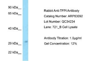 Western Blotting (WB) image for anti-Tissue Factor Pathway Inhibitor (Lipoprotein-Associated Coagulation Inhibitor) (TFPI) (Middle Region) antibody (ABIN971865) (TFPI Antikörper  (Middle Region))