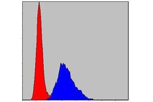 Flow cytometric analysis of NIH/3T3 cells using KID mouse mAb (blue) and negative control (red).