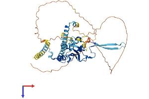 NAP1L2 Protein (AA 1-460) (His tag)