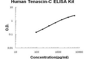 Human Tenascin-C PicoKine ELISA Kit standard curve (TNC ELISA Kit)