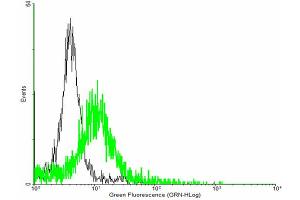 FACS analysis of negative control 293 cells (Black) and SMAD6 expressing 293 cells (Green) using SMAD6 purified MaxPab mouse polyclonal antibody. (SMAD6 Antikörper  (AA 1-496))