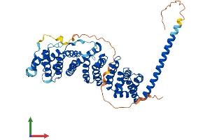 Protein Structure (PS) image for Protein Phosphatase 2, Regulatory Subunit B', beta (PPP2R5B) (AA 1-497) protein (His tag) (ABIN7551809)