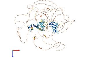 RBM6 Protein (AA 1-1123) (His tag)