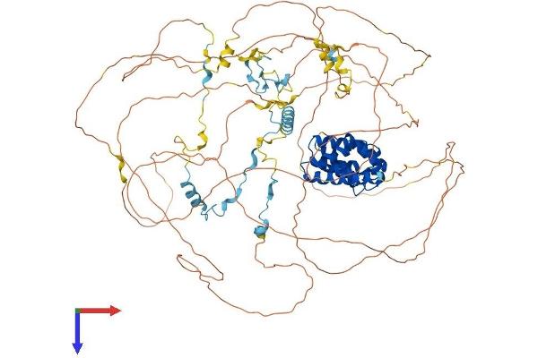 PPP1R10 Protein (AA 1-940) (His tag)