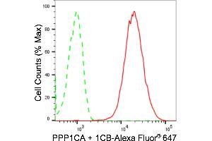Flow cytometric analysis of PPP1CA + 1CB expression in HepG2 cells using PPP1CA + 1CB antibody (ABIN7799892), 1:2,000). (Rekombinanter PPP1CA + 1CB Antikörper)