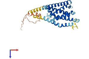 PTPLA Protein (AA 1-281) (His tag)