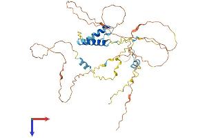 S100PBP Protein (AA 1-396) (His tag)