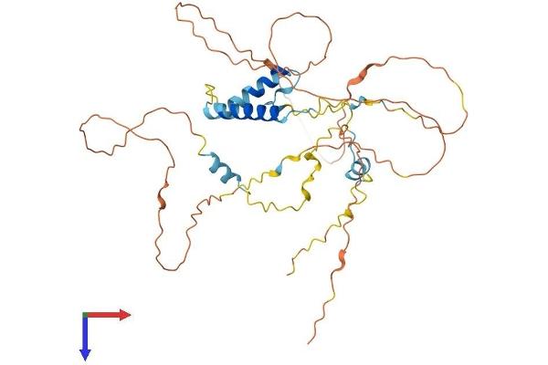 S100PBP Protein (AA 1-396) (His tag)
