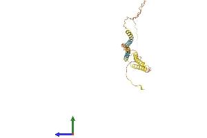 Protein Structure (PS) image for Outer Dense Fiber of Sperm Tails 4 (ODF4) (AA 1-257) protein (His tag) (ABIN7550231)