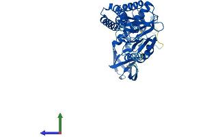 Protein Structure (PS) image for Alanyl-tRNA Synthetase Domain Containing 1 (AARSD1) (AA 1-412) protein (His tag) (ABIN7551786)