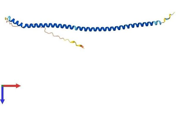 Pallidin Protein (AA 1-172) (His tag)