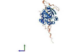 Protein Structure (PS) image for Ras Homolog Gene Family, Member U (RHOU) (AA 1-261) protein (His tag) (ABIN7561413)