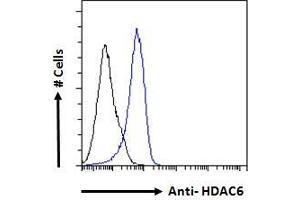 ABIN5539540 Flow cytometric analysis of paraformaldehyde fixed A431 cells (blue line), permeabilized with 0. (HDAC6 Antikörper  (C-Term))