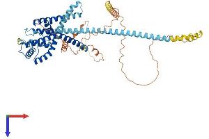 KCNK10 Protein (AA 1-538) (His tag)