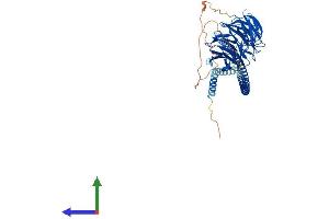 AlphaFold protein structure predicition of Human Recombinant ATG16L1 Protein, UniprotID Q676U5