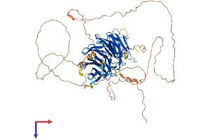 CDT2/RAMP Protein (AA 1-730) (His tag)