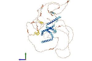 Protein Structure (PS) image for Reticulon 1 (RTN1) (AA 1-776) protein (His tag) (ABIN7551670)