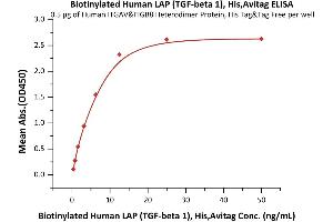 ELISA image for Transforming Growth Factor, beta 1 (TGFB1) (AA 30-278) (Active) protein (His tag,AVI tag,Biotin) (ABIN6731275)