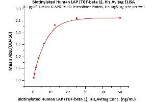 Immobilized Human ITGAV&ITGB8 Heterodimer Protein, His Tag&Tag Free (ABIN4949120,ABIN4949121) at 5 μg/mL (100 μL/well) can bind Biotinylated Human LAP ( 1), His,Avitag (ABIN6731275,ABIN6809946) with a linear range of 0.