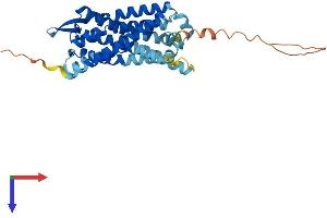 Leukotriene B4 Receptor/BLT Protein (AA 1-352) (His tag)