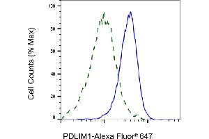 Validation of PDLIM1 knockdown using flow cytometry. (Rekombinanter PDLIM1 Antikörper)