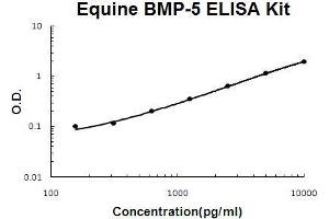Horse equine BMP-5 PicoKine ELISA Kit standard curve