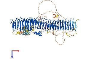 FBXO10 Protein (AA 1-950) (His tag)