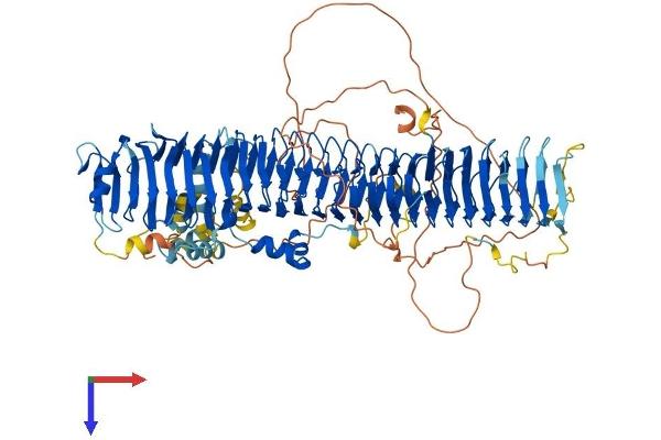 FBXO10 Protein (AA 1-950) (His tag)