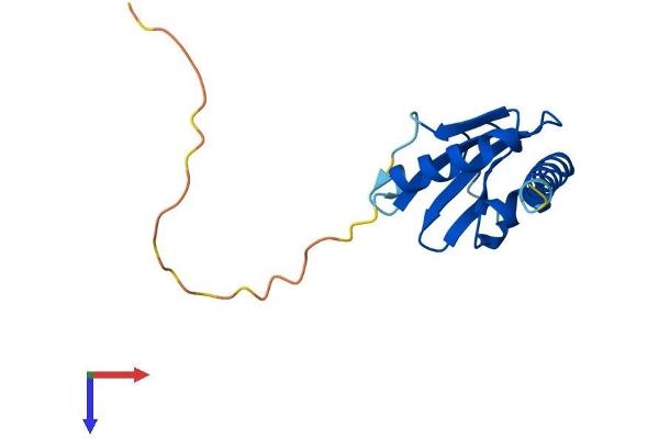 GSKIP Protein (AA 1-139) (His tag)