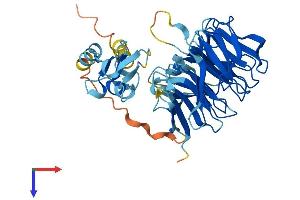 NHLRC1 Protein (AA 1-395) (His tag)