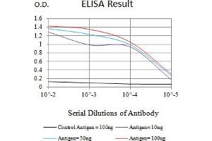 Black line: Control Antigen (100 ng),Purple line: Antigen (10 ng), Blue line: Antigen (50 ng), Red line:Antigen (100 ng) (LILRA4 Antikörper  (AA 24-178))